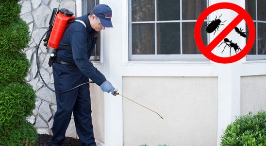 Adaklı Haşere İlaçlama böcek ilaçlama ve haşere kontrolü — ilaclama-tr.com